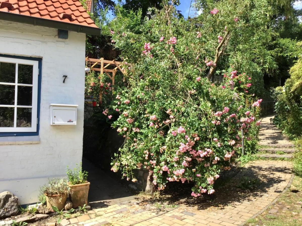 Fischerhaus Blankenese Hamburk Exteriér fotografie