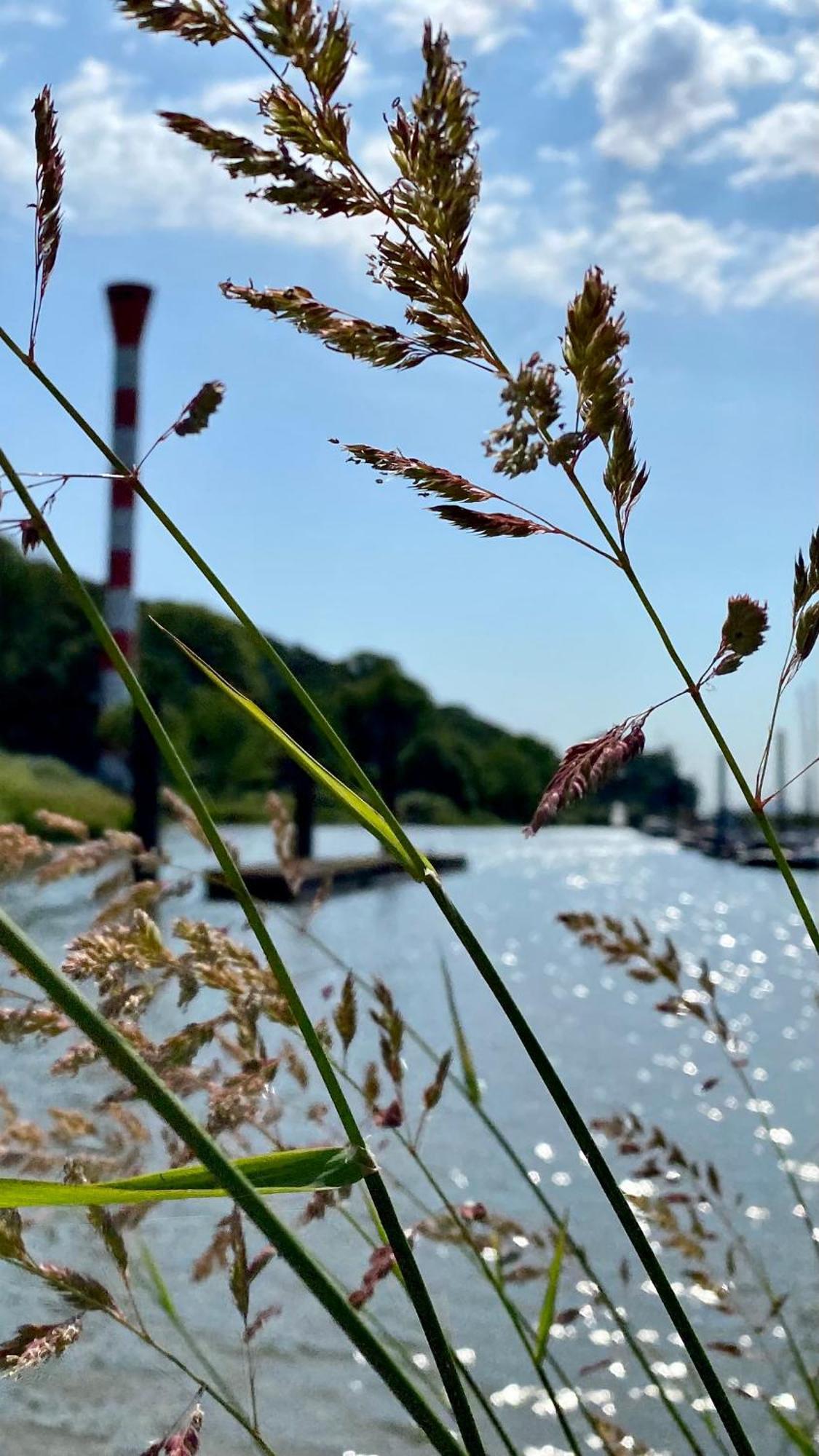 Fischerhaus Blankenese Hamburk Exteriér fotografie