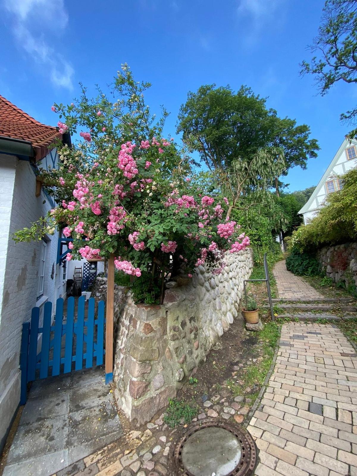 Fischerhaus Blankenese Hamburk Exteriér fotografie